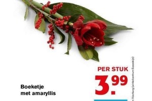 boeketje met amaryllis