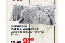 sierkussen met led verlichting