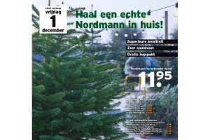 nordmann kerstbomen