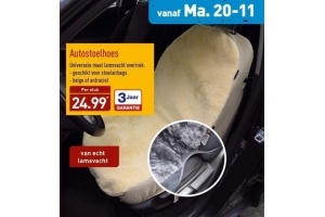 autostoelhoes