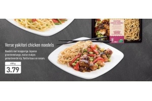 verse yakitori chicken noedels