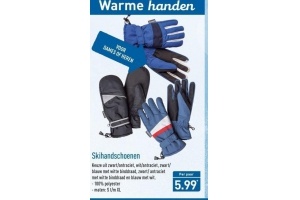 skihandschoenen