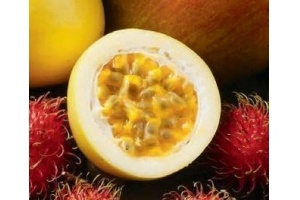 maracuja