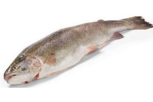 forel