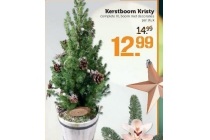 kerstboom kristy