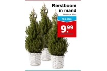 kerstboom in mand