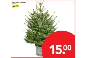 kerstboom in emmer