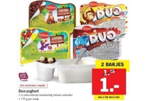 duo yoghurt