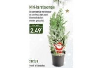 mini kerstboompje