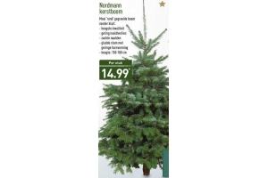 nordmann kerstboom