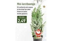 mini kerstboompje