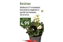 kerstroos