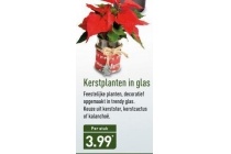 kertplanten in glas