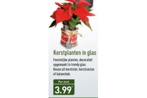 kertplanten in glas