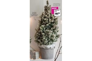 kerstboom wax in pot