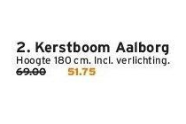 kerstboom aalborg