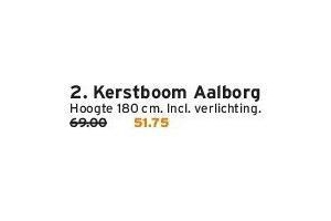 kerstboom aalborg