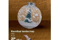 kerstbal landschap