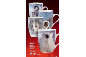 beker pooldieren