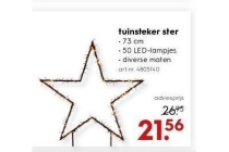 tuinsteker ster