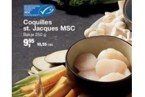coquilles st jacques msc