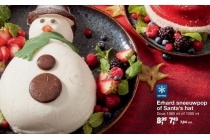 erhard sneeuwpop of santa s hat