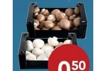 kies en mix reuze of kastanjechampignons