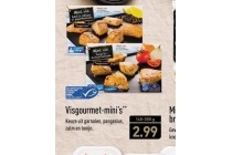 visgourmet mini s