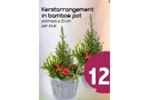 kerstarrangement in bamboe pot