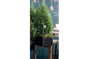 silver crest kerstboom