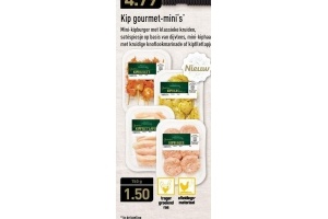 kip gourmet mini s