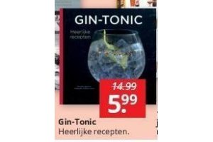 gin tonic