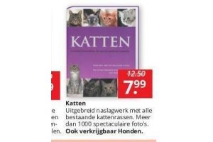 katten