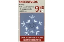 sneeuwvlok