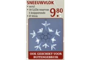 sneeuwvlok