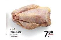 fazanthaan