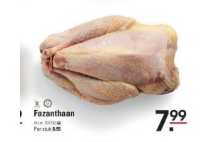 fazanthaan