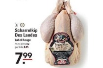 scharrelkip des landes