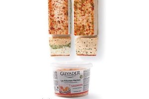 rillettes en terrines