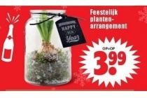 feestelijk plantenarrangement