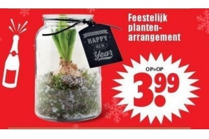 feestelijk plantenarrangement