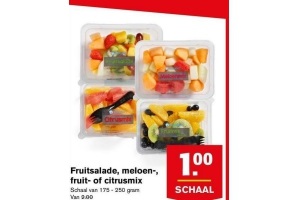 fruitsalade meloen fruit of citrusmix
