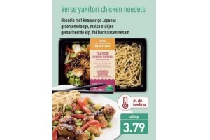 verse yakitori chicken noedels