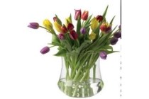 gemengde tulpen