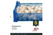 champignons