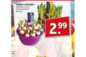 bollen schalen