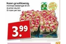 rozen grootbloemig