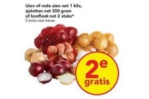 uien rode uien sjalotten of knoflook