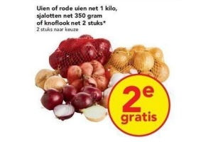 uien rode uien sjalotten of knoflook