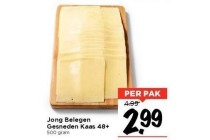 jong belegen gesneden kaas 48
